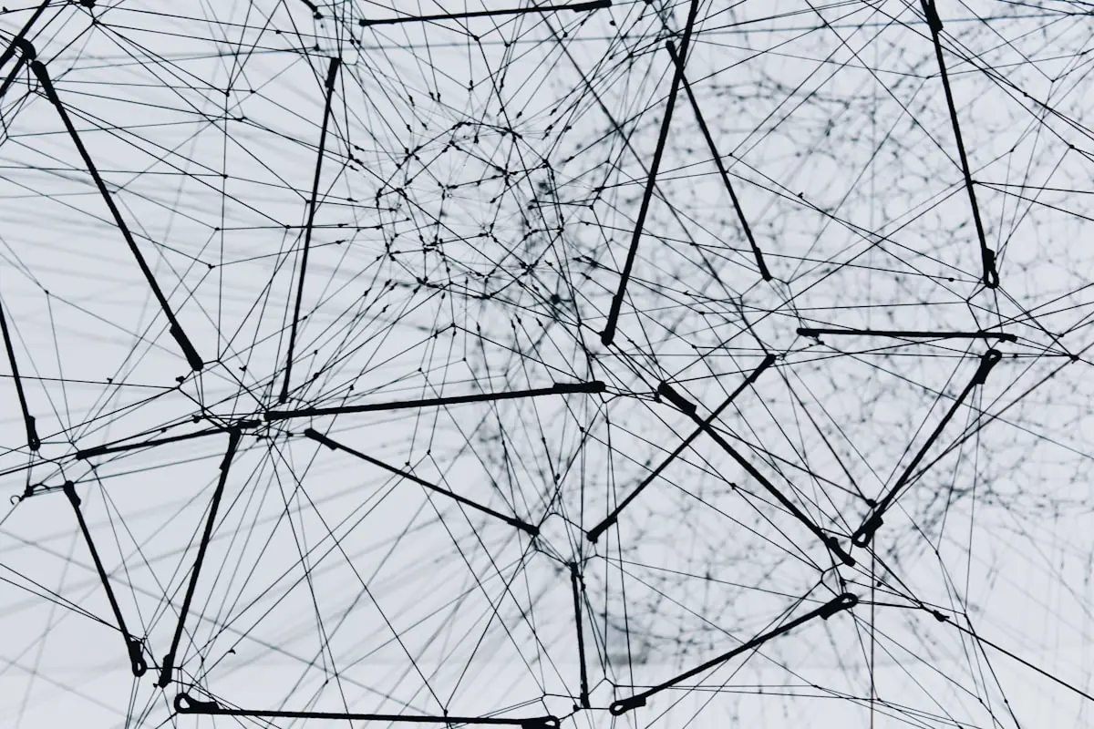 Fibra òptica