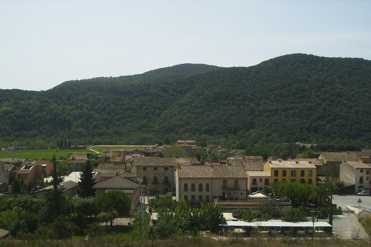 Vista d'Argelaguer des de dalt: teulades, el campanar de l'església, camps a la plana i una serra coberta de bosc al fons