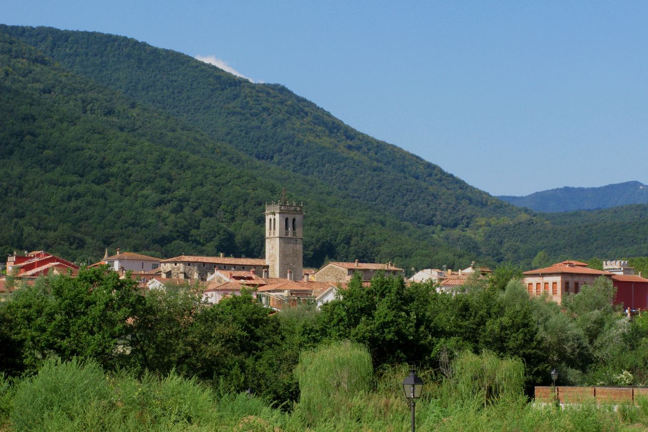 Sant Feliu de Pallerols amb el campanar de pedra sobresortint entre les teulades i una muntanya coberta de bosc al darrere