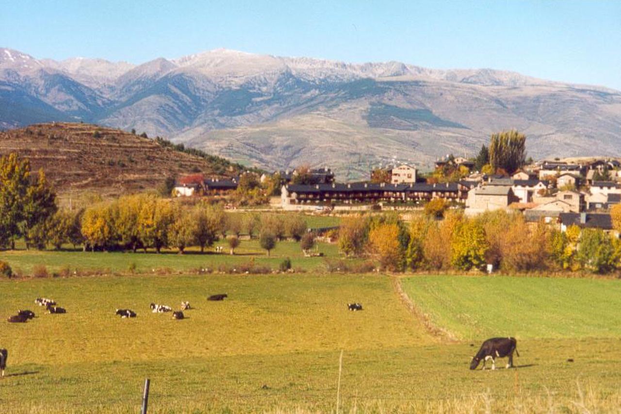 Vaques en un prat verd d'Urús, amb arbres grocs de tardor, les cases del poble i muntanyes enfarinades de neu al fons